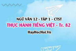 Soạn bài Thực hành Tiếng Việt trang 82, 83 Ngữ văn 12 Chân trời sáng tạo